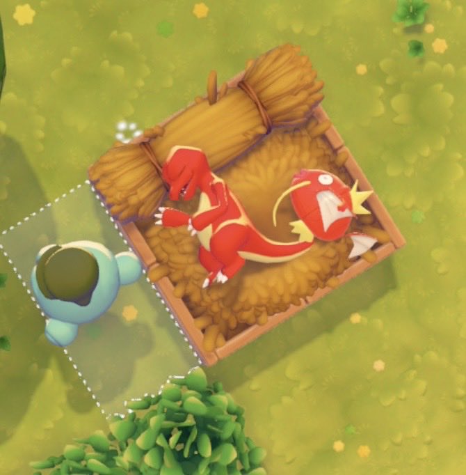 minhikarp tweet media