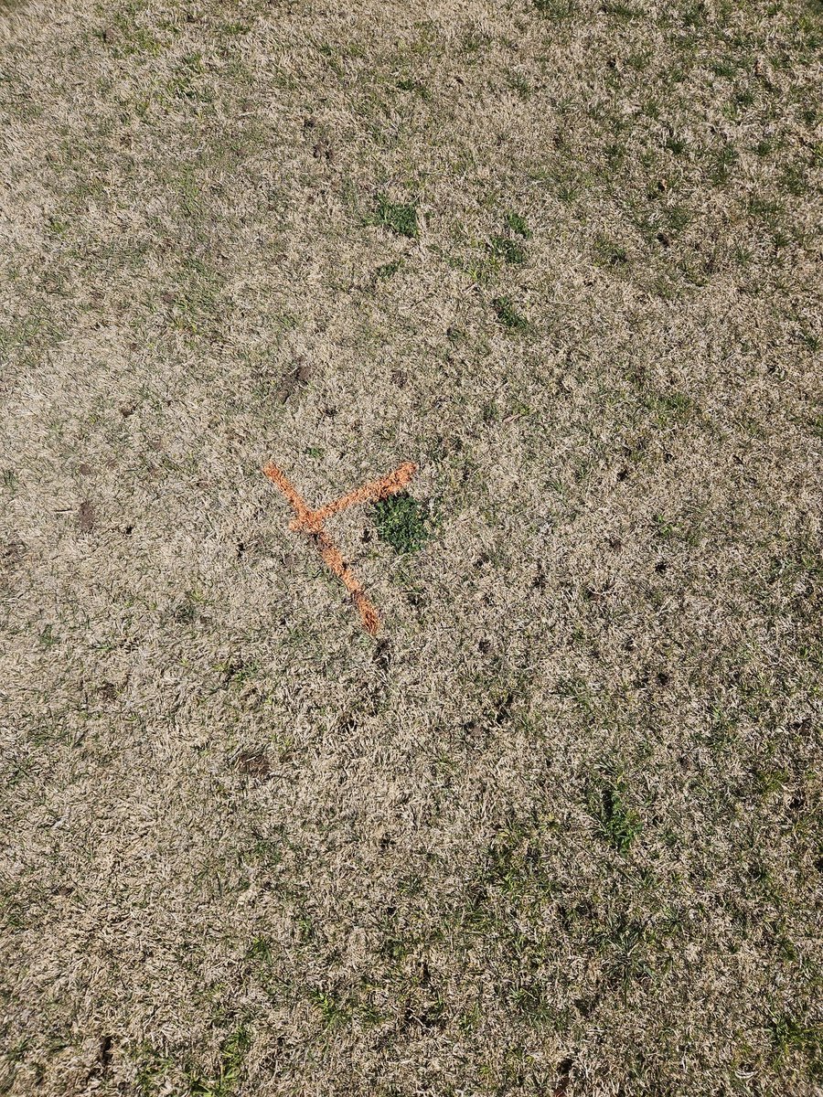 Aaron Ocampo tweet media