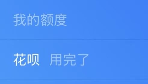 Charlie | Brid 🕊 tweet media