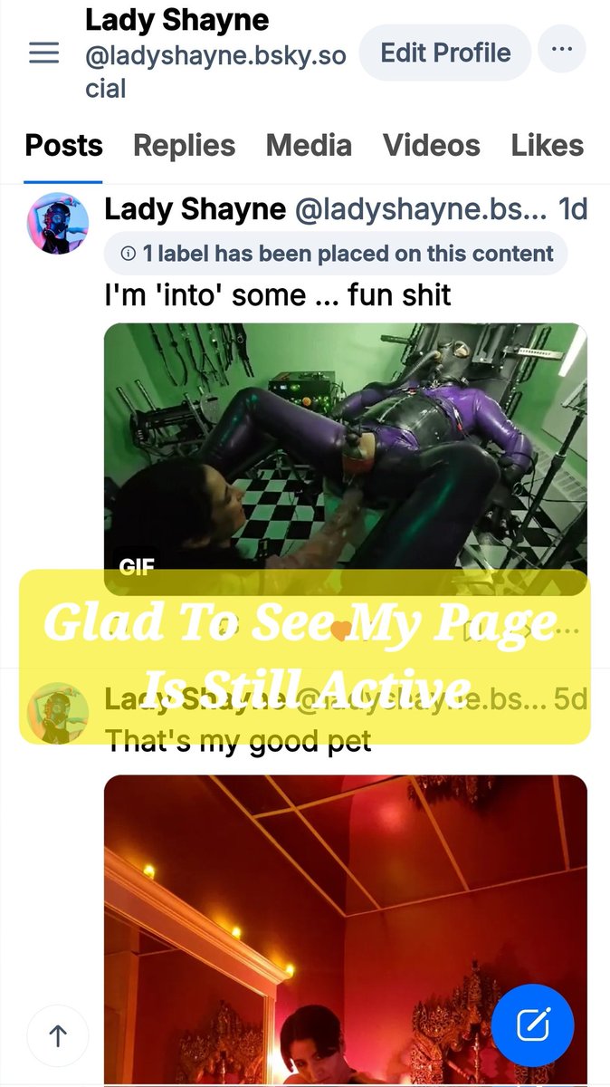 Lady Shayne tweet media
