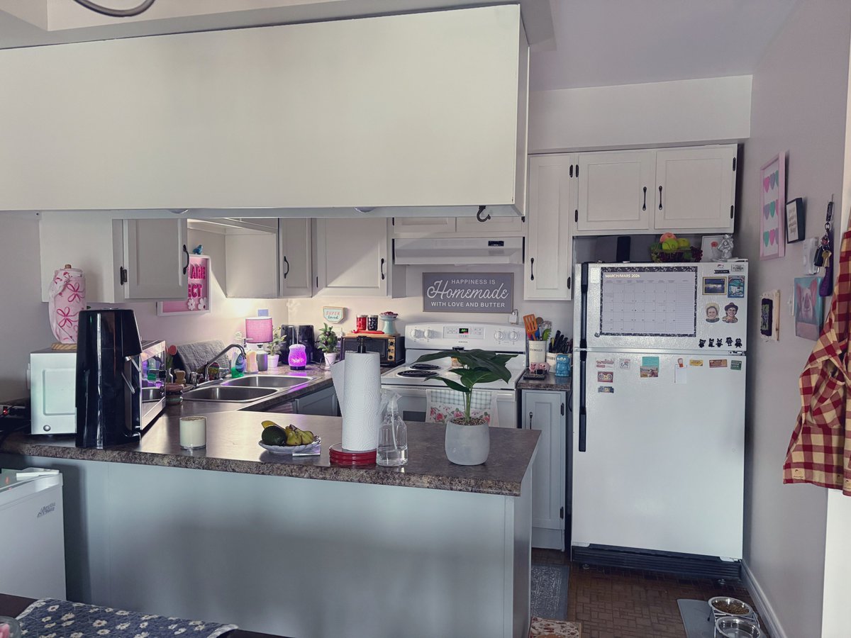 kimmy 🍁🇨🇦 tweet media