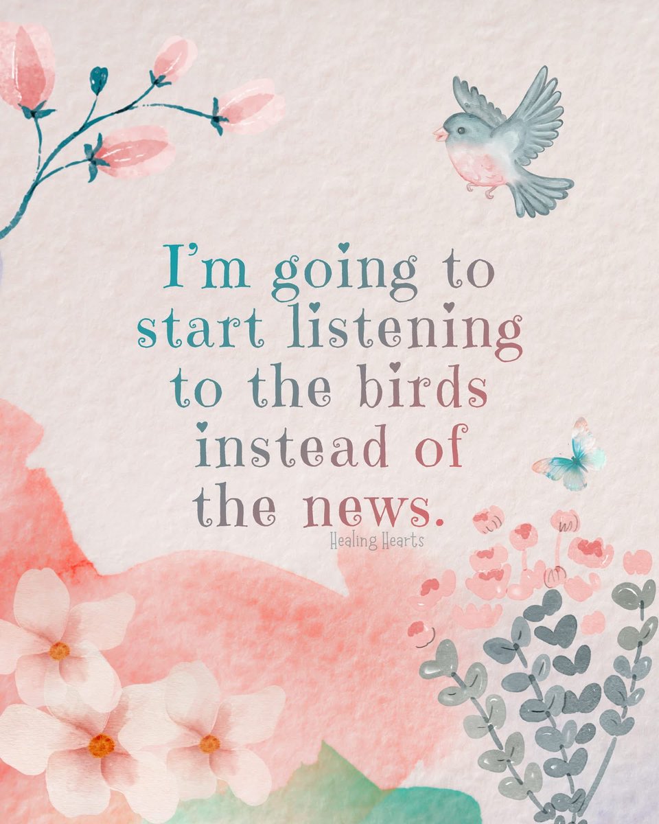 Marithé The Dreamer tweet media