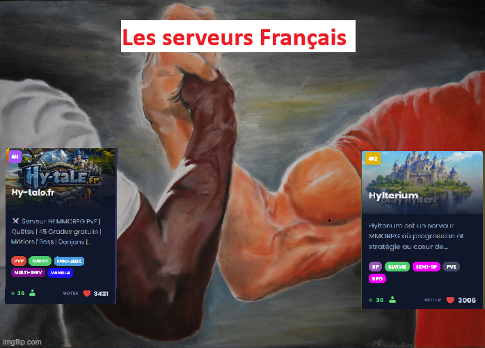 Le duel au sommet. 
⚔️ Entre Hy-tale et Hylterium, la communauté française est bien gardée. 

Lequel mérite la couronne selon vous ? 👑
Peu importe le serveur, c'est la communauté FR qui gagne à la fin ! 🇫🇷🔥

#hytale #hytalefrance