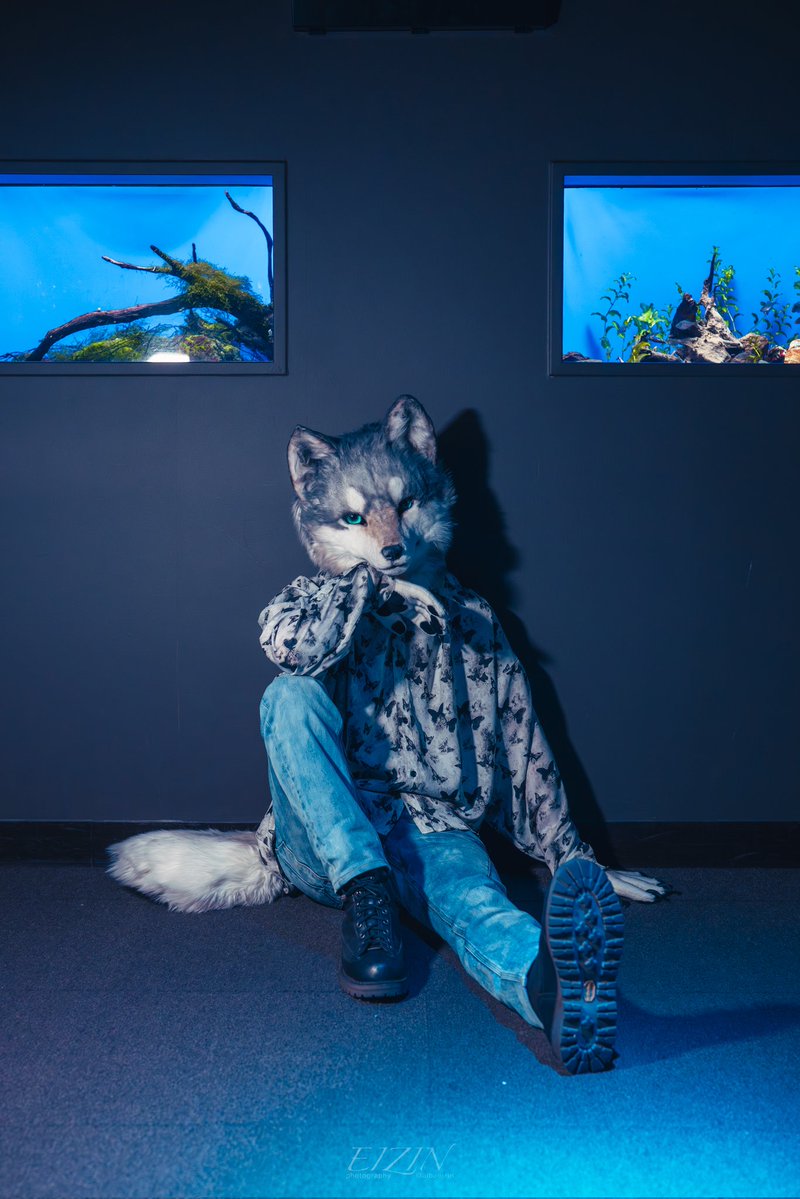 レーヴ・フォグリート (Rêve Foglit)🔰 tweet media