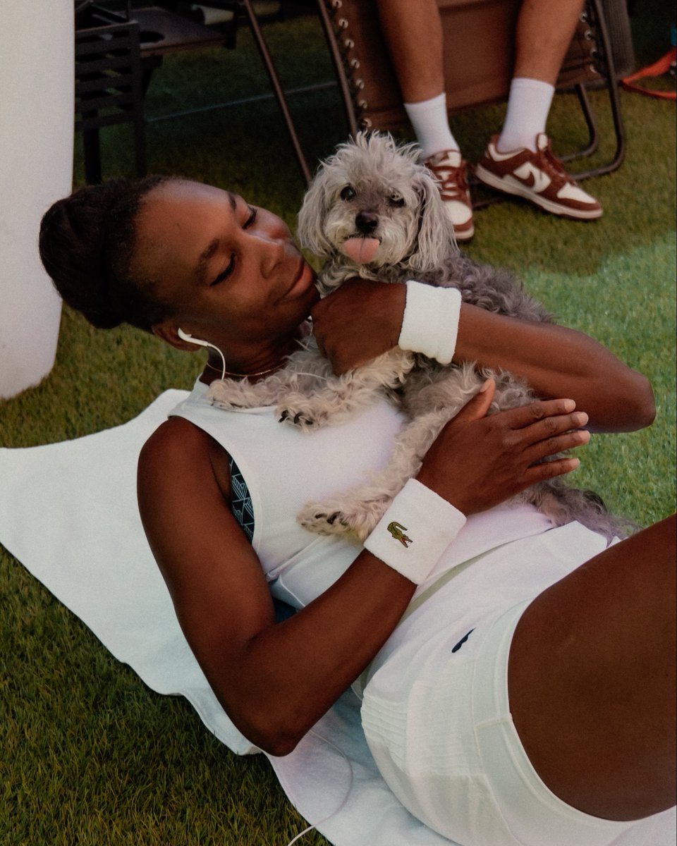Venus Williams tweet media