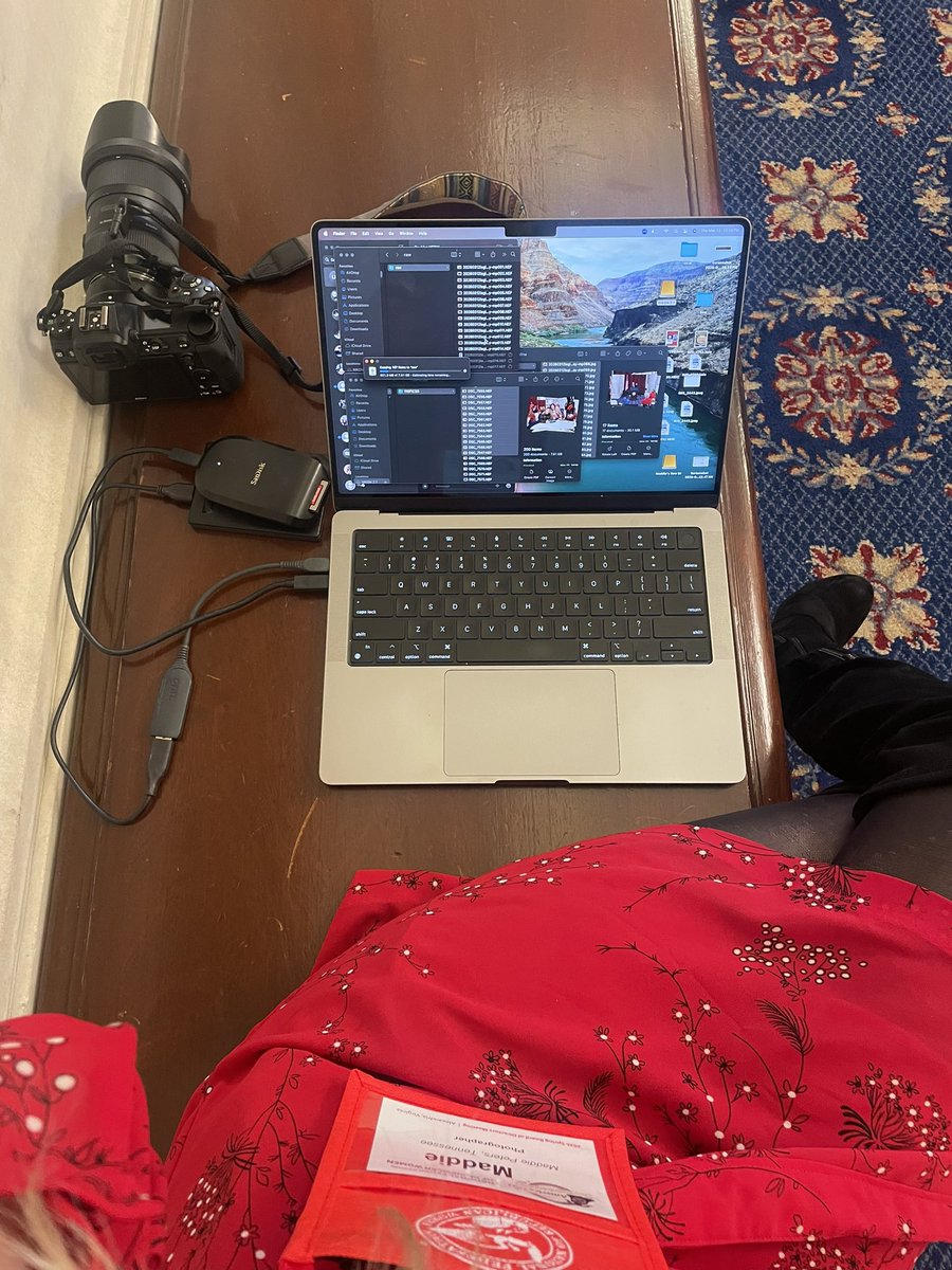 Madeline Peters tweet media