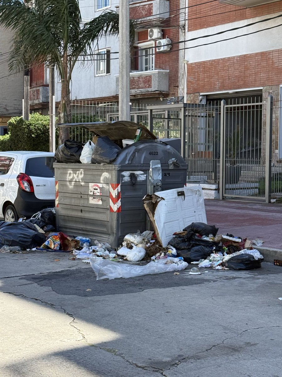 El Bagual bolso tweet media