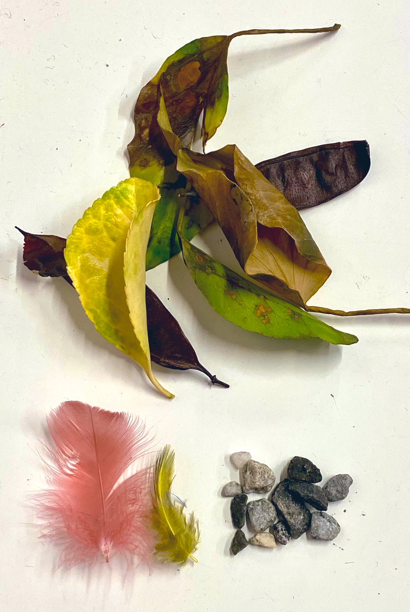 NoshiA100's tweet image. Little stones, colourful feathers and of course leaves. Just a selection of some of the things my gorgeous Penguins gave to me today. They are SO happy to give me something they have found. I LOVE their sweet explanations and how they always remember the little details!🥰
#EYFS