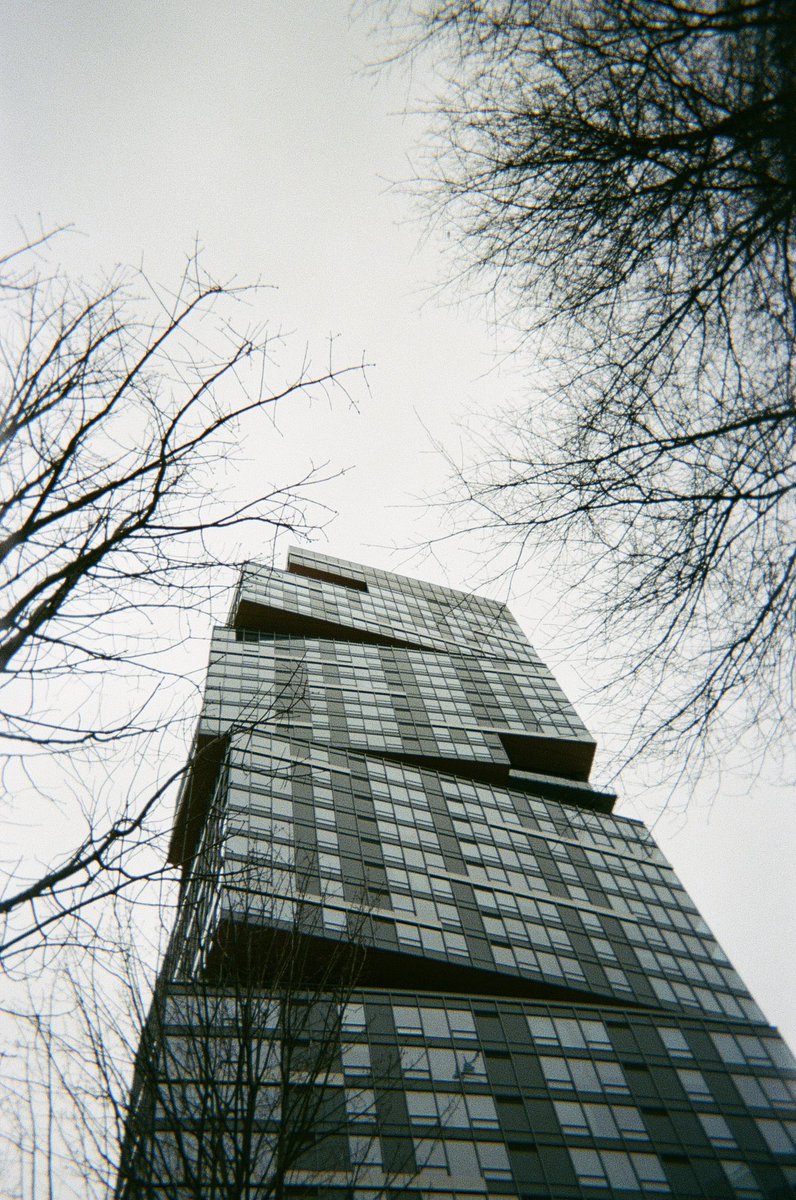 Sacred VVolf tweet media