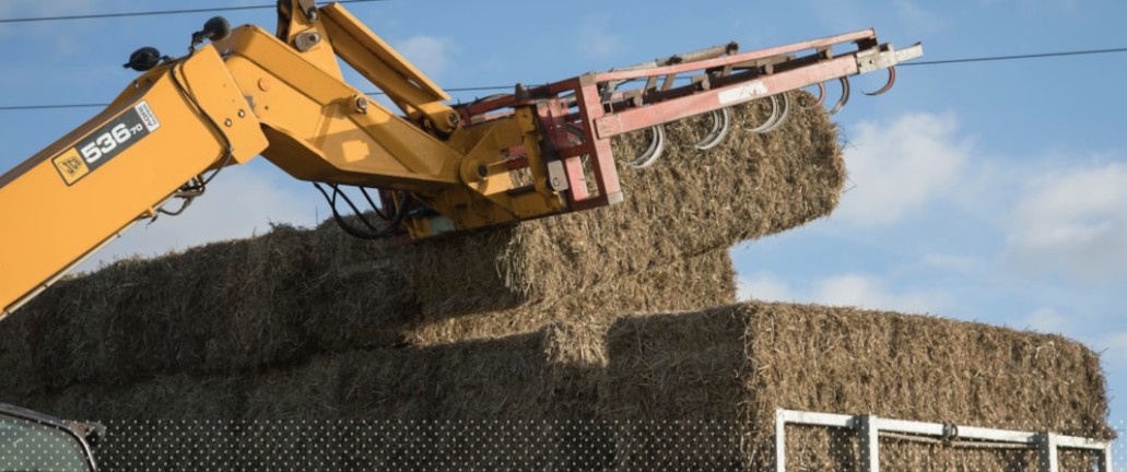 The NAAC tweet media