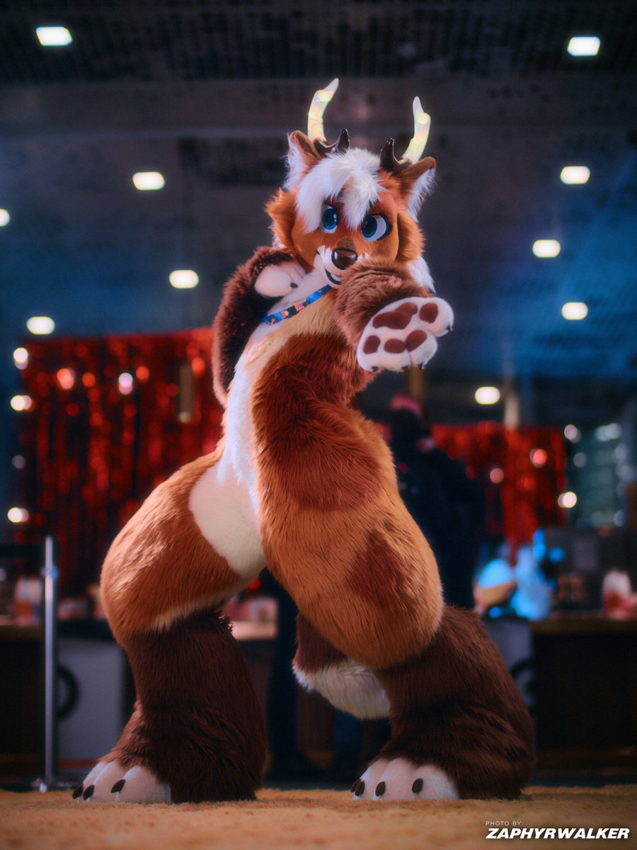 ZapyZapZap's tweet image. Deer suits are just so cute!

Also high energy poser -  ao_deerfox on Insta ⭐️

🎨: @SchneeCreations 

I have 1 photo slot open for EF in germany if anyone is intrested, just poke me!
#nfc #fursuiter #nordicfuzzcon