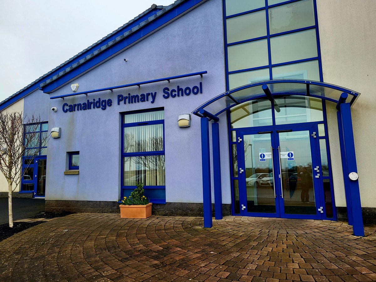 Cecilia Daly tweet media