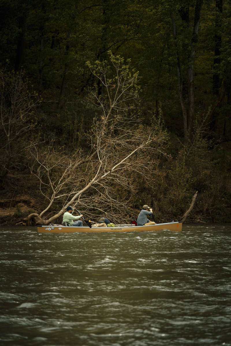 Field & Stream tweet media