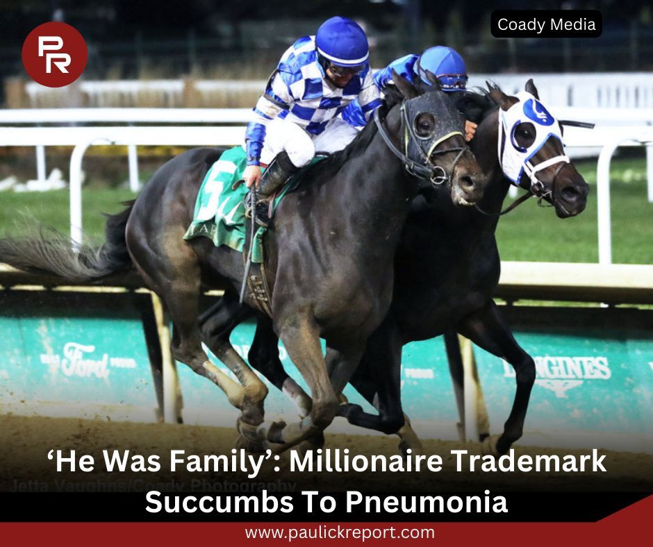 Paulick Report tweet media