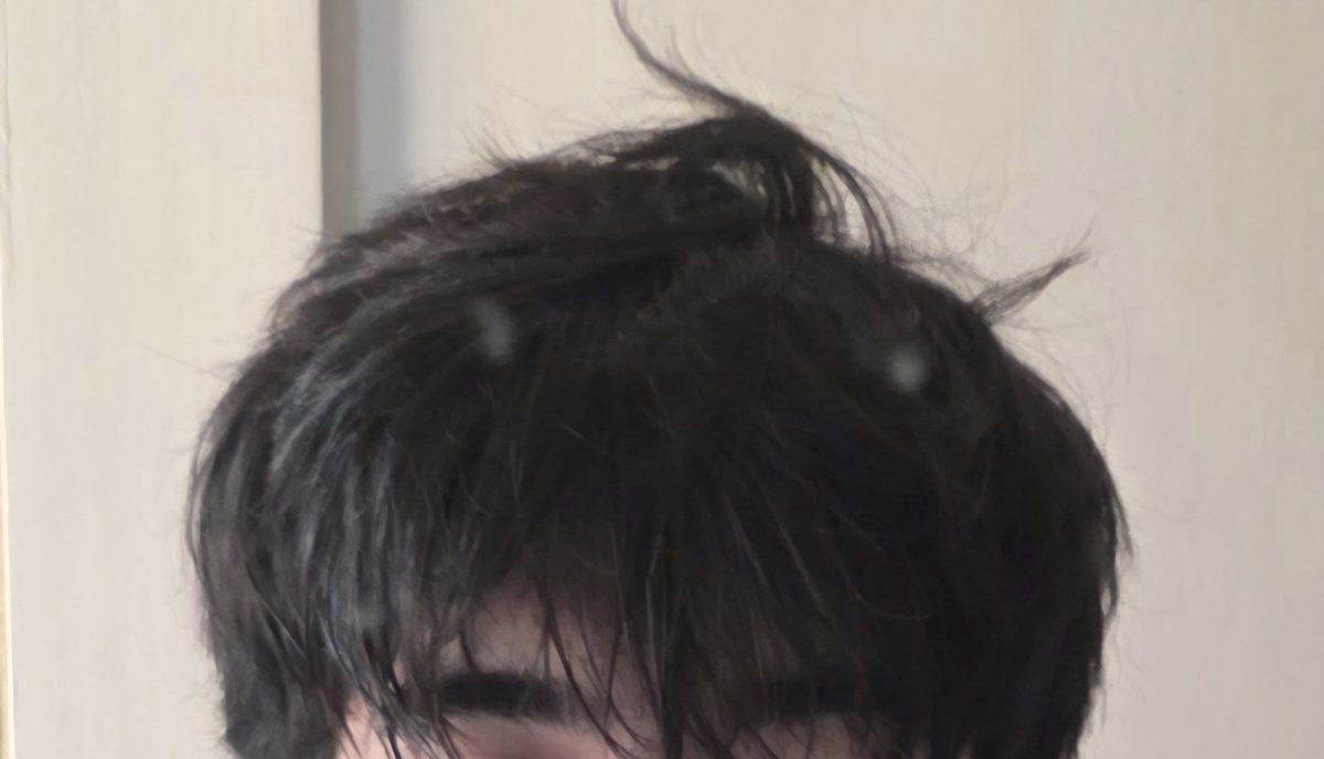 Seigen The WandererVT tweet media