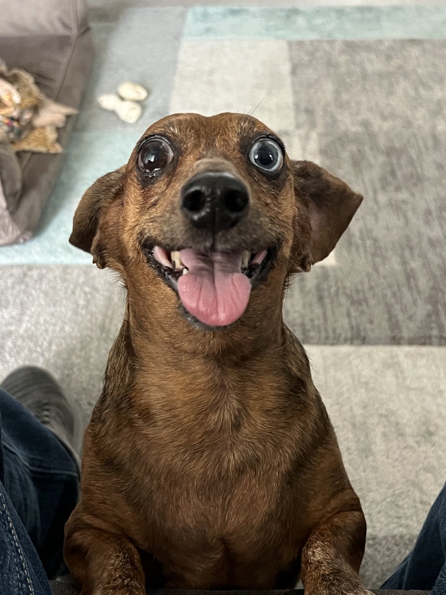 RickCotter.btc/.eth tweet media