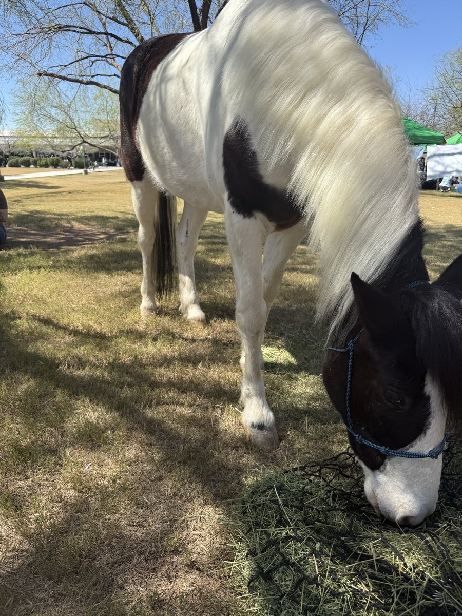 Susie Sullivan tweet media