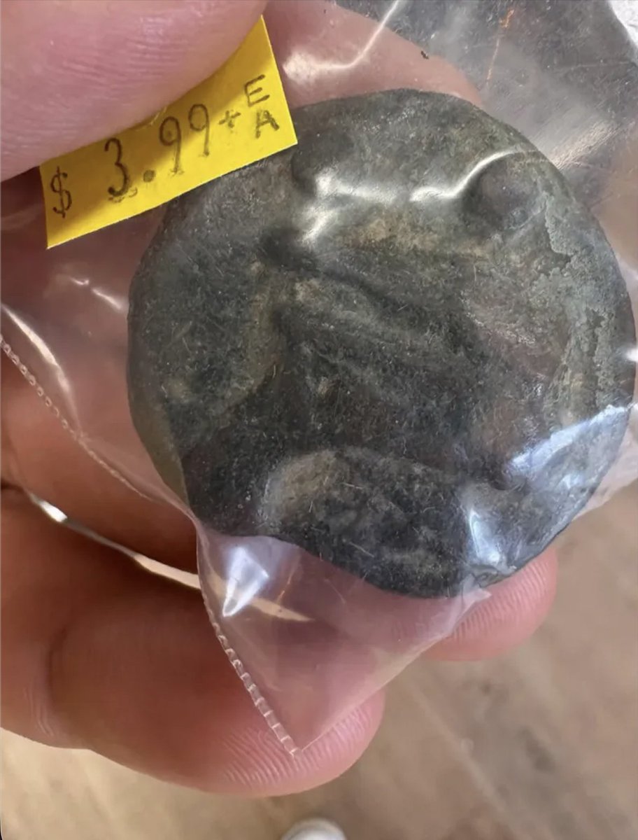 Salvation Army USA tweet media