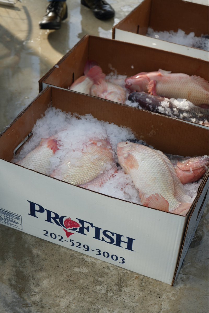 Maryland Dining tweet media