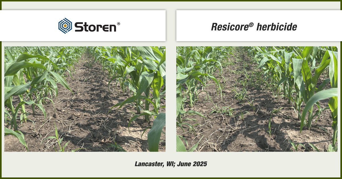 Syngenta US tweet media