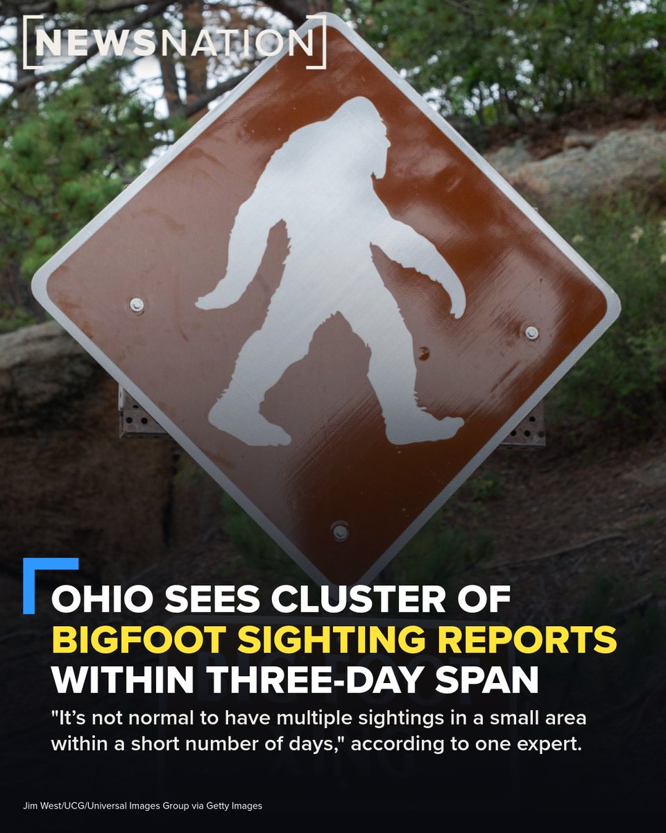 NewsNation tweet media