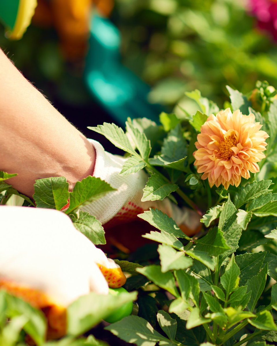 AcreValue® tweet media