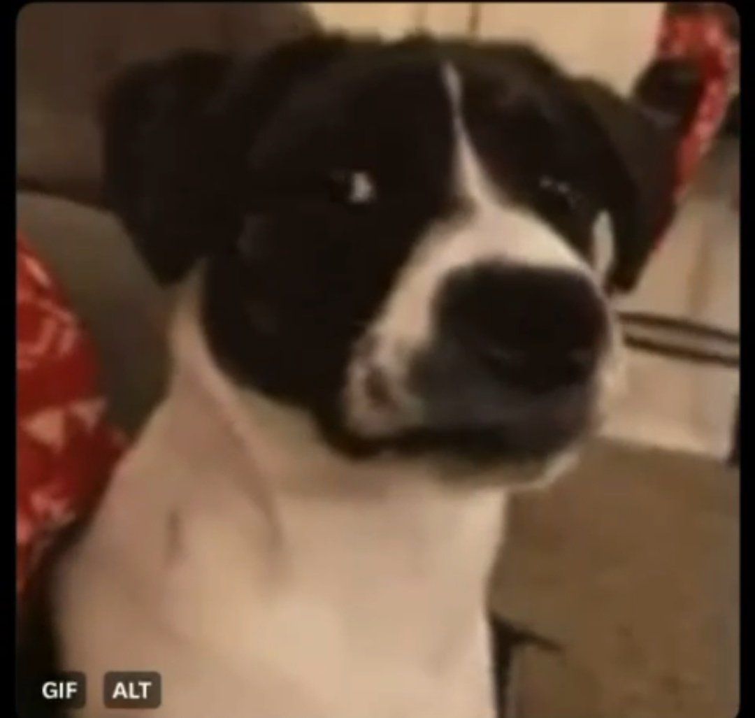 Cleveland tweet media