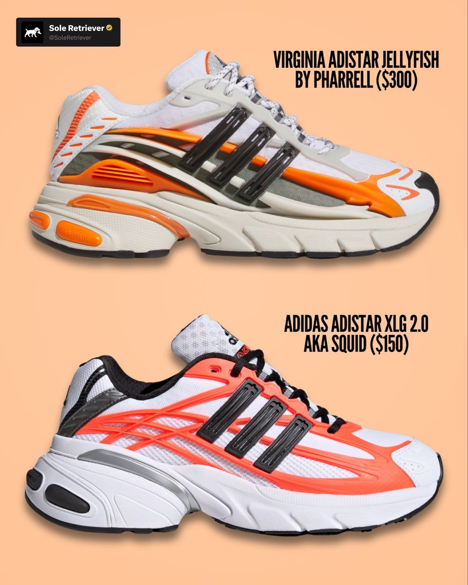 Sole Retriever tweet media