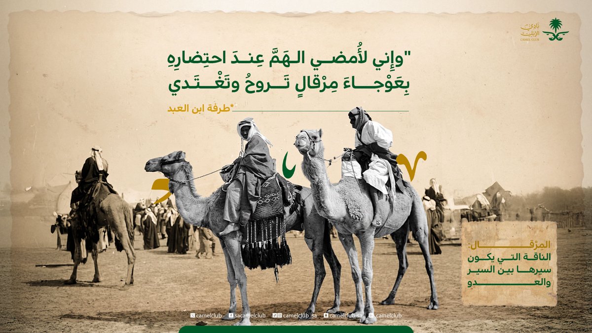 نادي الإبل tweet media