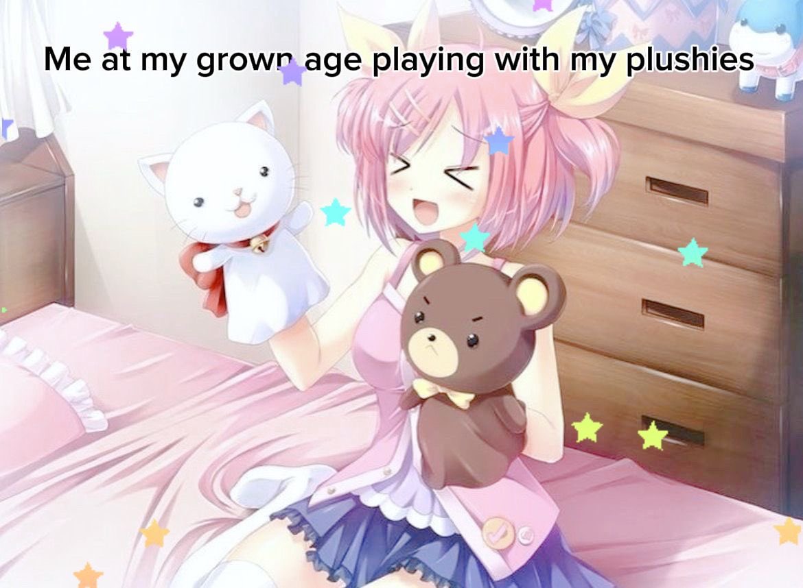 kιdd᥆ ૮◞ ◟𑁬∘˙˚ 🎀🐾🍭 tweet media