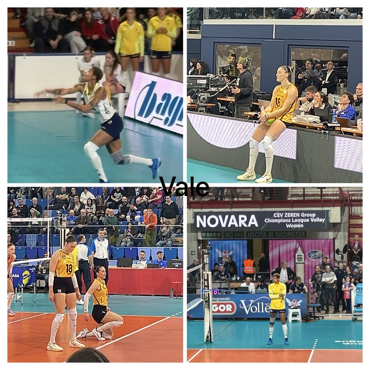 🥰🥰🥰🥰✨✨✨ #zehra #Vargas 🫠🫠🫠🦁🦁🔥🔥🔥