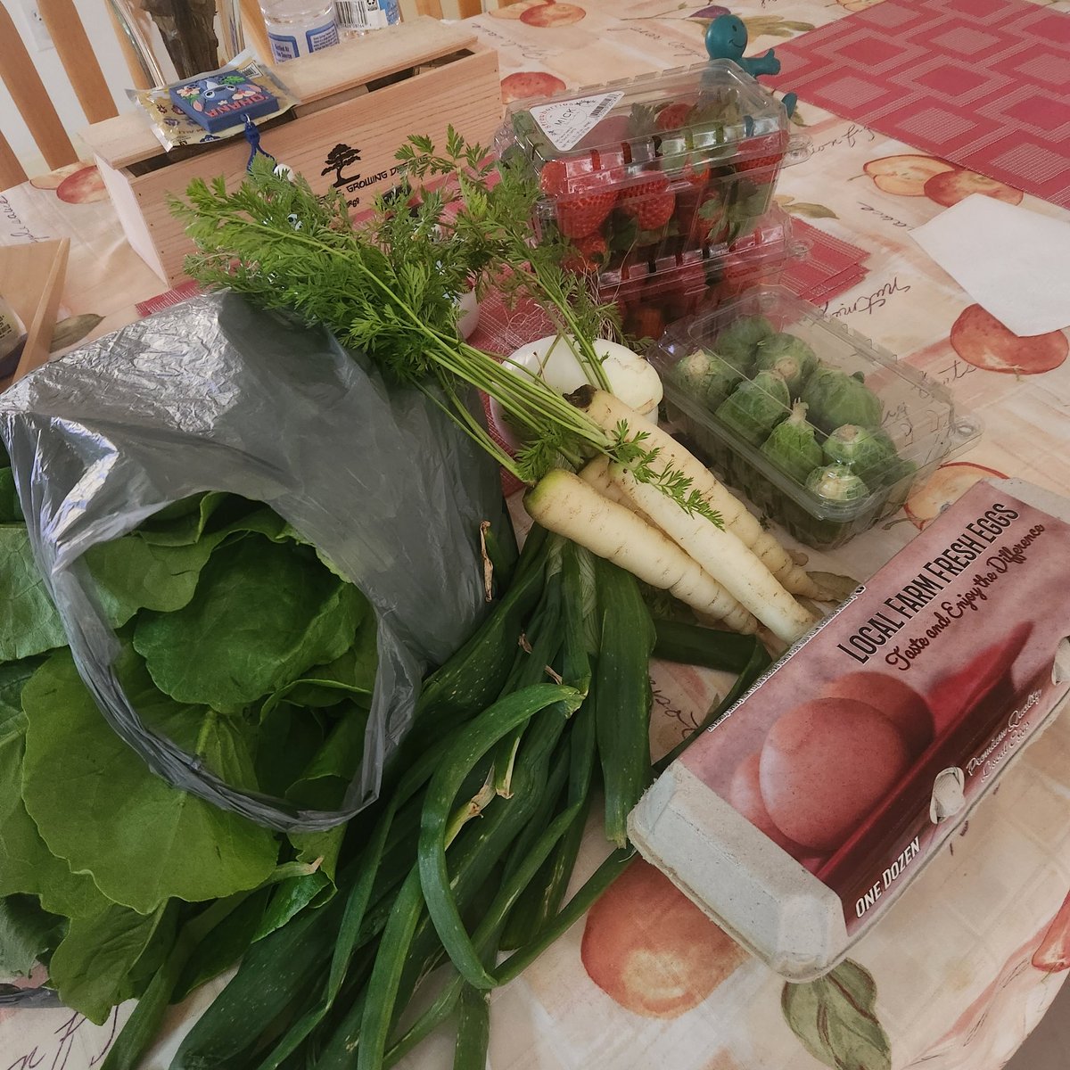 Joe Marco tweet media