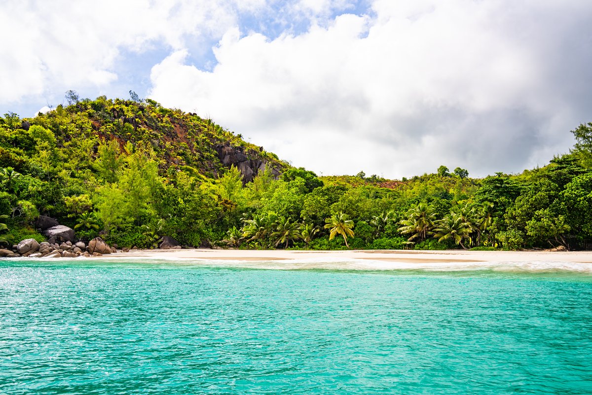 visitseychelles's tweet photo. Travel is more than a destination. It’s how it makes you feel.
Grounded. Restored. Inspired.
Discover Seychelles. 🌿

Photos by theonlyvimal on Instagram

#SeychellesIslands https://t.co/PEeci3vzzG