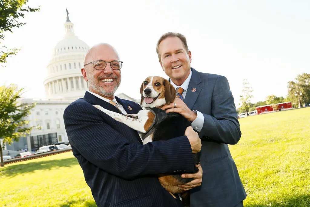 Zoosadists's tweet photo. In 2010, Congress passed a federal statute that made it a crime to create, sell, or distribute “crush videos”. What is a crush video? Obscene recordings in which live animals are crushed, burned, drowned, suffocated, impaled, or otherwise tortured to sexually gratify perverse viewers. This law was a milestone, it finally recognized that videos of extreme violence to animals deserves federal prohibition across state lines. But what about the act of animal torture? That is where the PACT act comes in.

For nearly a decade, the law allowed you to burn, drown, or crush an animal alive, so long as you didn’t press “record.” That was the nightmarish legal gap left by the 2010 federal crush video law. While it thankfully finally criminalized the creation and distribution of videos that depicted animal cruelty, it failed to outlaw the underlying violence itself. In other words, the act of torture wasn’t the problem, the video was. If a perpetrator kept the footage private, deleted it, or never filmed it at all, they could still walk free. And many did.

The PACT Act, short for the Preventing Animal Cruelty and Torture Act, was written to close that loophole. Passed in 2019 with bipartisan support and signed into law under the Trump administration, it was the first federal statute to make acts of animal torture a felony offense. Seven years in prison is now on the table for anyone who engages in these atrocities, regardless of whether a video camera is present.