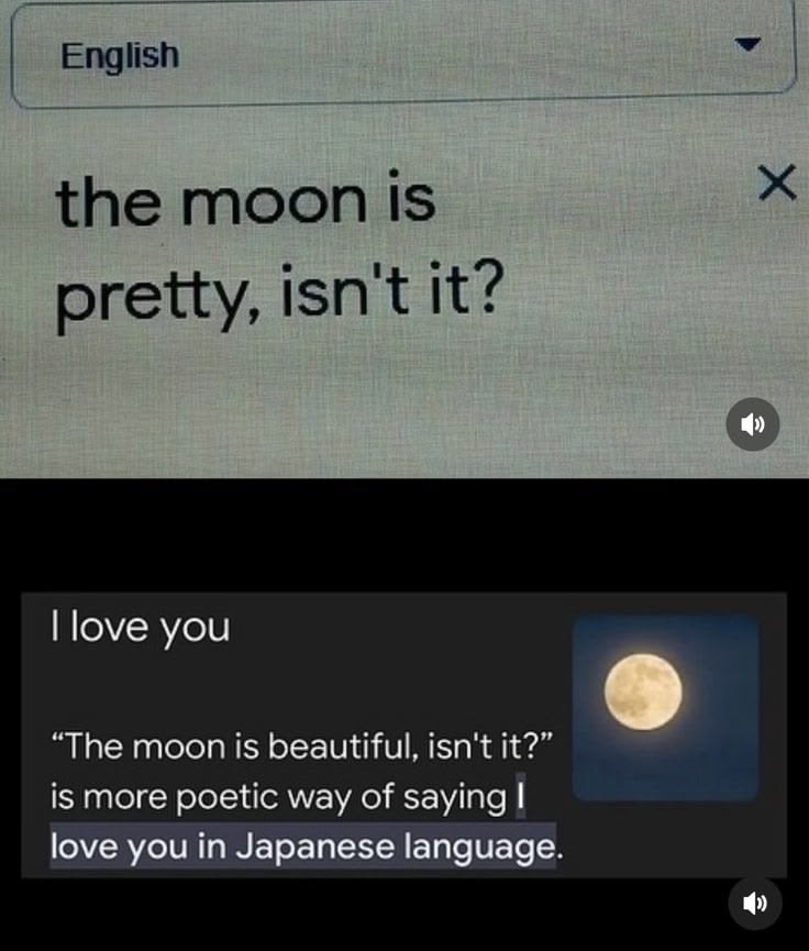 messages. tweet media