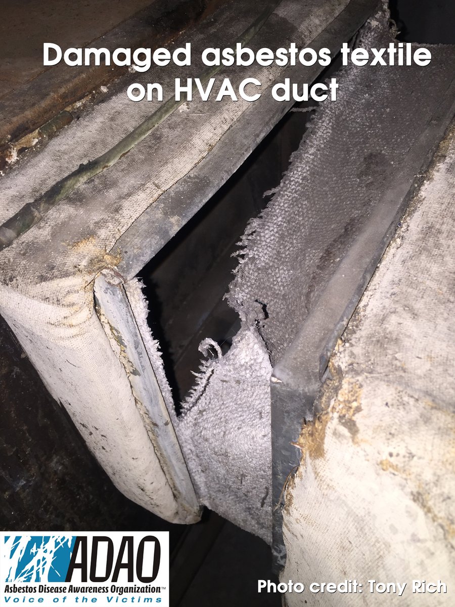 Linda_ADAO tweet media