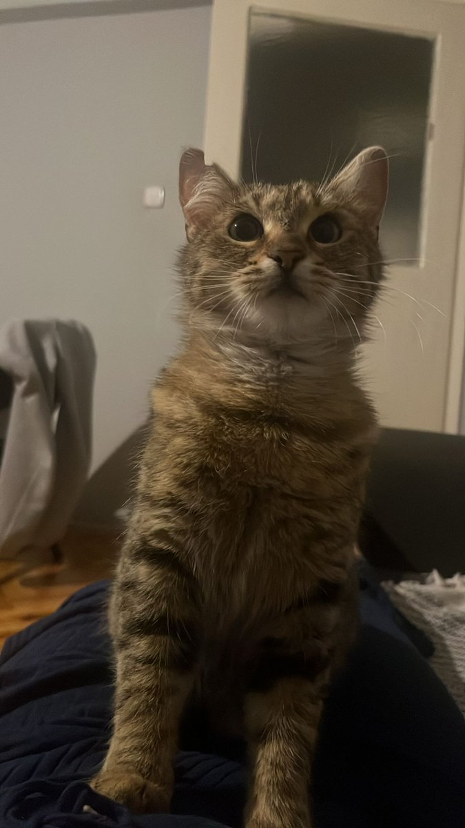 lütfen paylaşın izmirde ailesini arıyor sokağa dönmesin