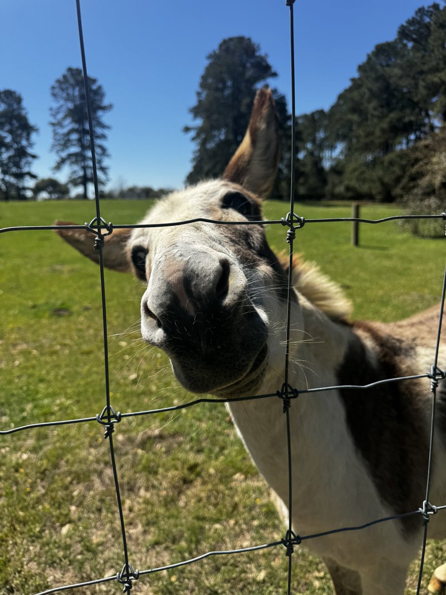 Beth Moore tweet media