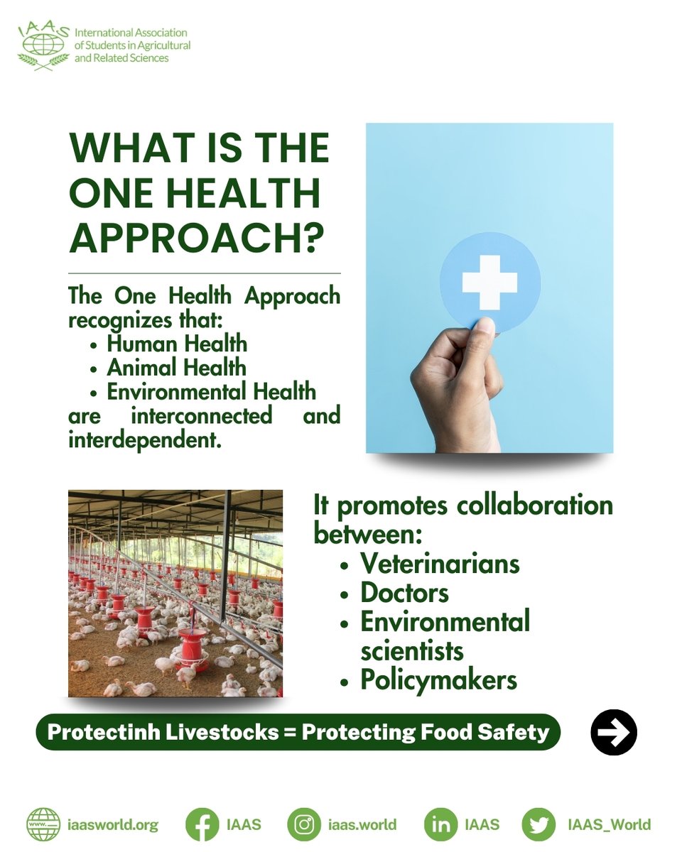 IAAS World tweet media