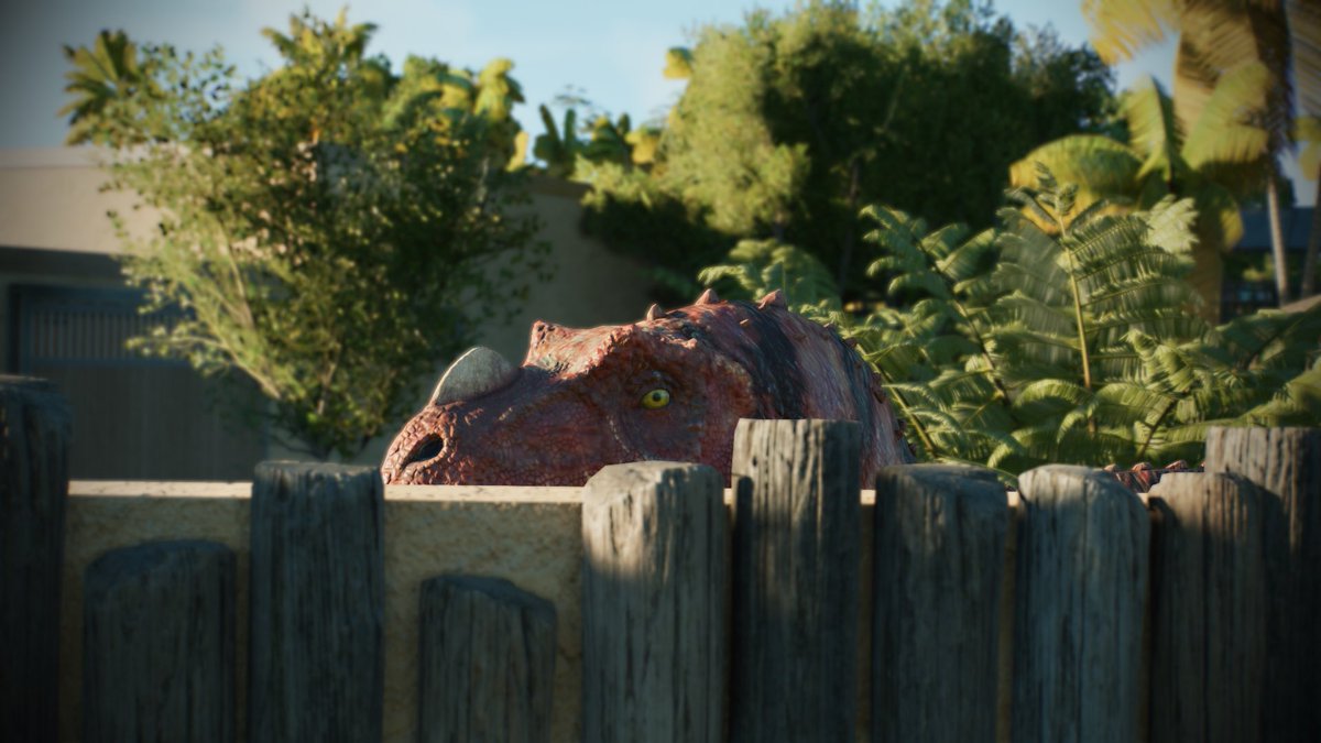 Paleo Pizza tweet media