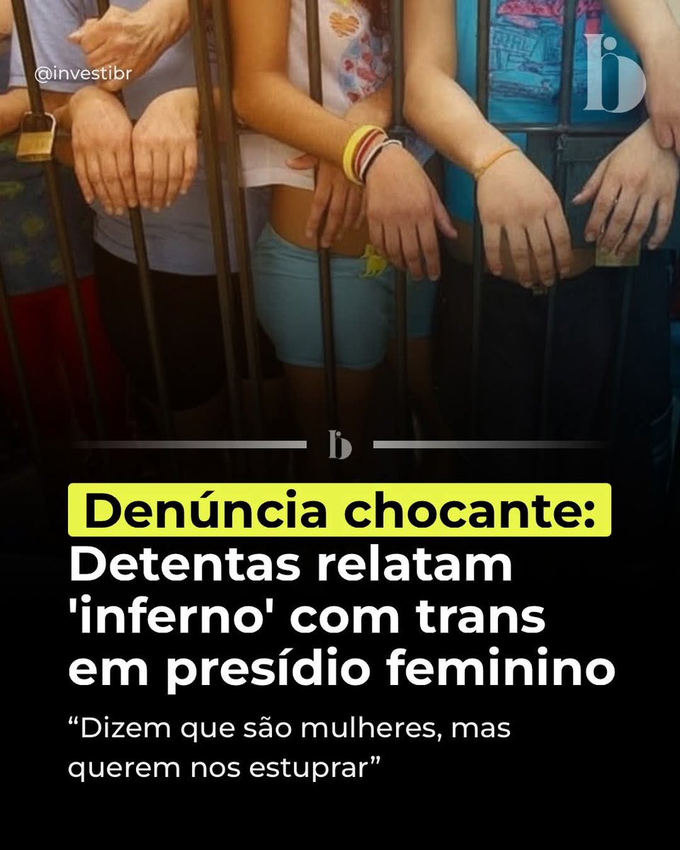 Senso Crítico ⚡ tweet media