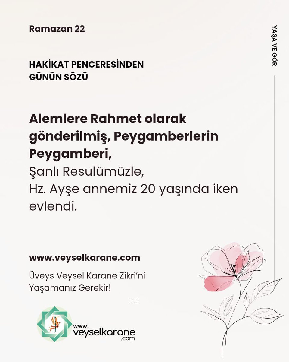 Özlem Okul tweet media