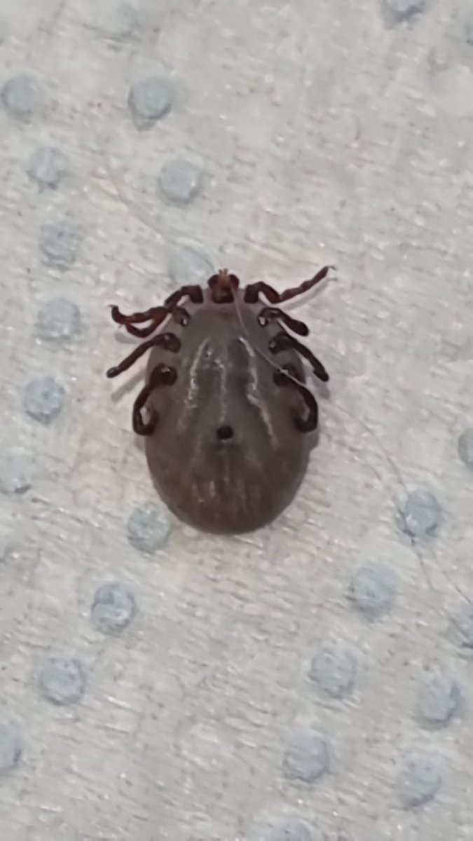 Krzysiek tweet media