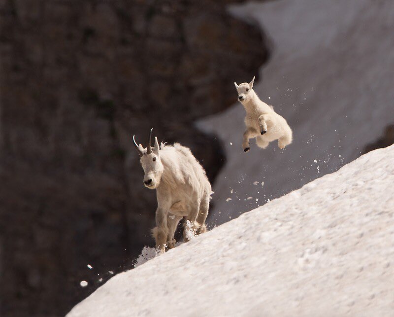 Carmine Fields tweet media