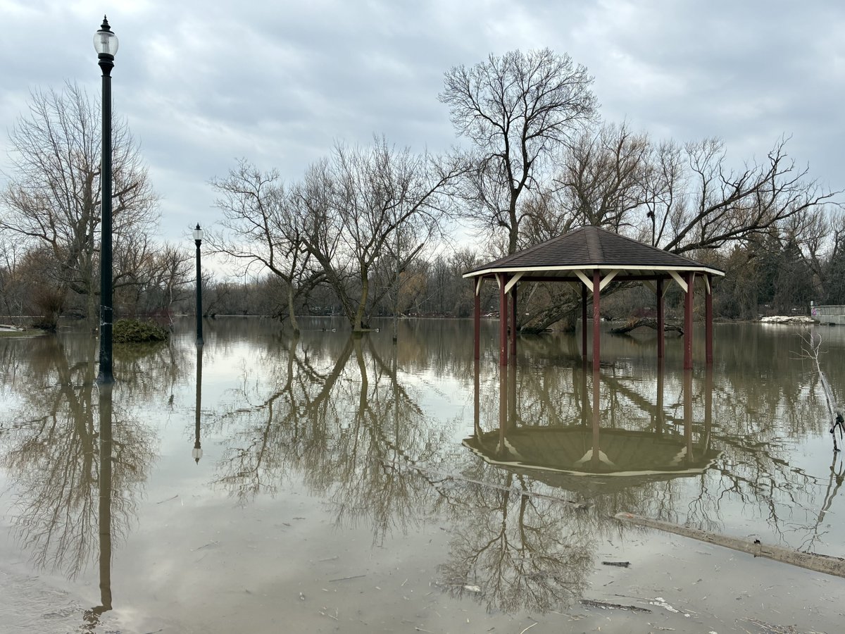 Johanna Weidner tweet media