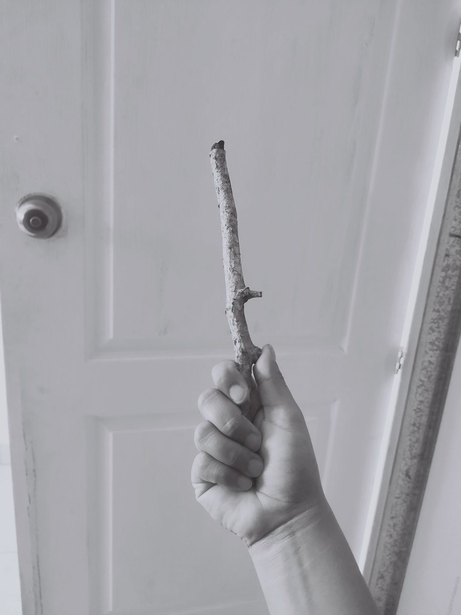 La ví tirada en la calle y sentí el llamado, mide 26.5 (mi varita de Hogwarts legacy 27.5) ¿Coincidencia? No lo creo.

#HarryPotter
#Hogwarts