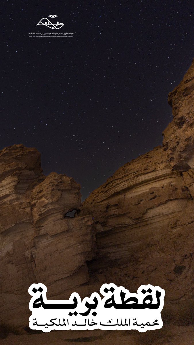 هيئة تطوير محمية الإمام عبدالعزيز بن محمد الملكية tweet media