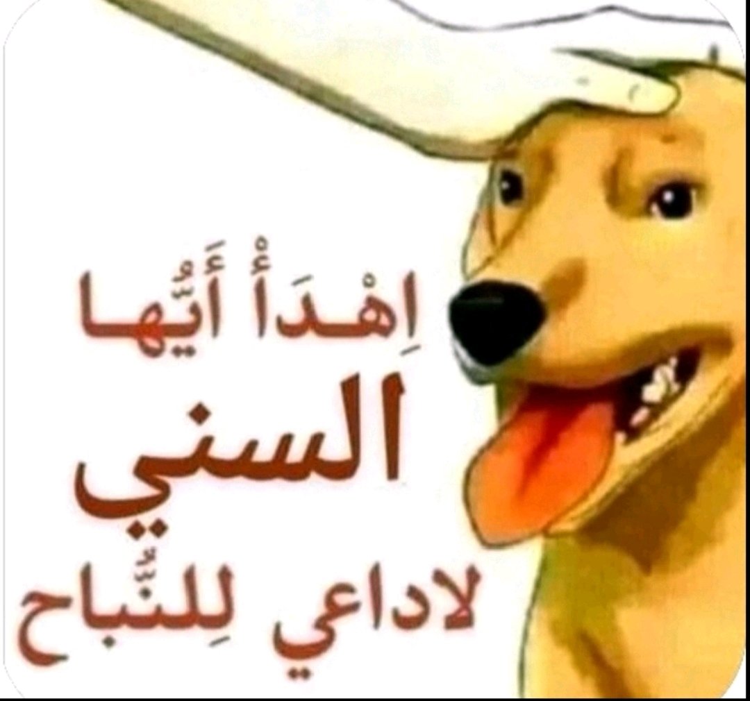 يقين الموسوي tweet media