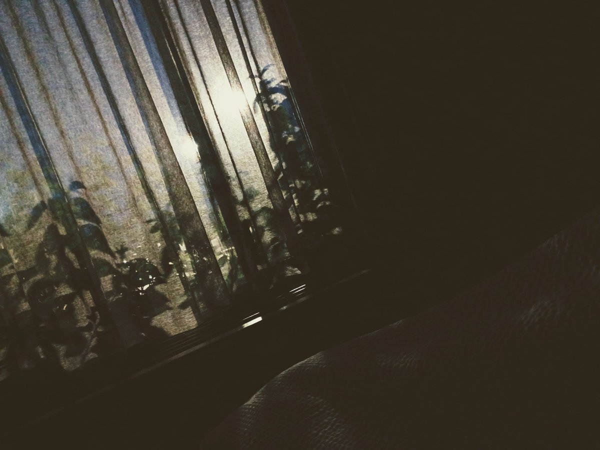 cadere . .ᐟ tweet media