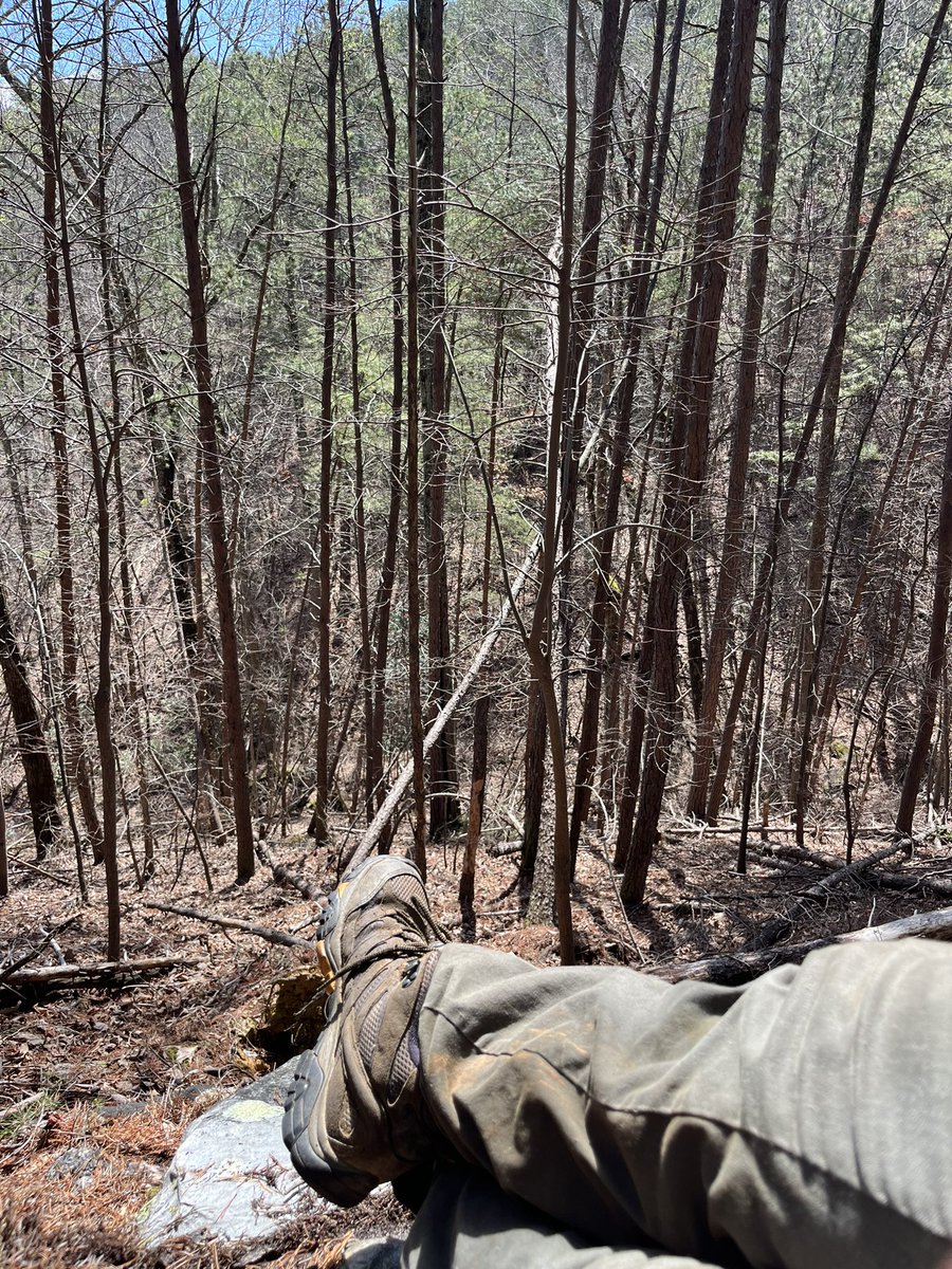 Jzsus VE tweet media